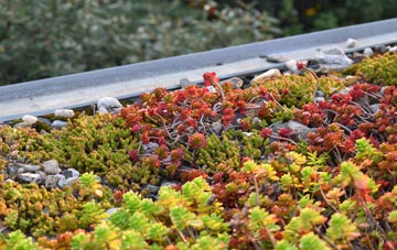 the cost of Maesbury Marsh green roof installation