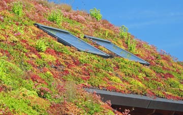 Maesbury Marsh living roof systems